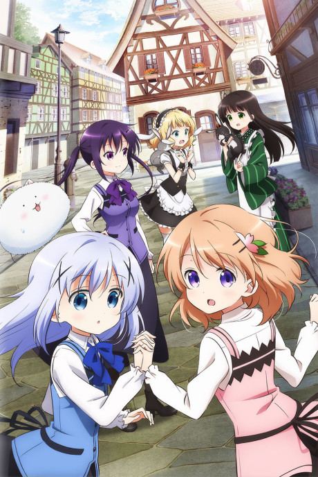 Is the Order a Rabbit??