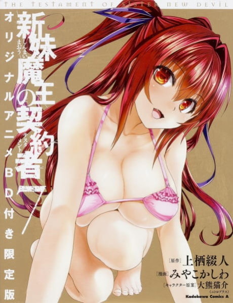 The Testament of Sister New Devil BURST OVA
