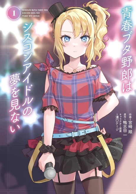 Rascal Does Not Dream of Siscon Idol