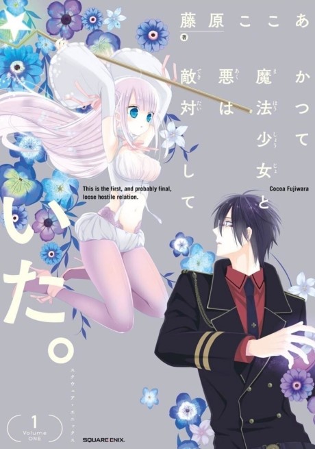 The Magical Girl and the Evil Lieutenant Used to Be Archenemies