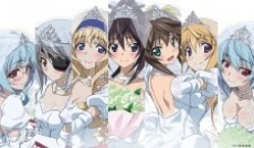 Infinite Stratos 2: Infinite Wedding