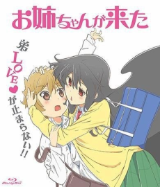 Oneechan ga Kita: My Sister Came Special